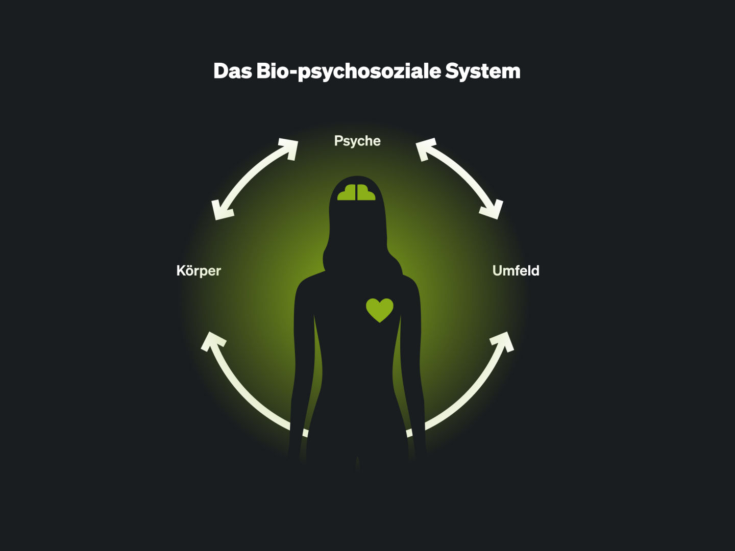 Das Bio psychosoziale System DE 2x