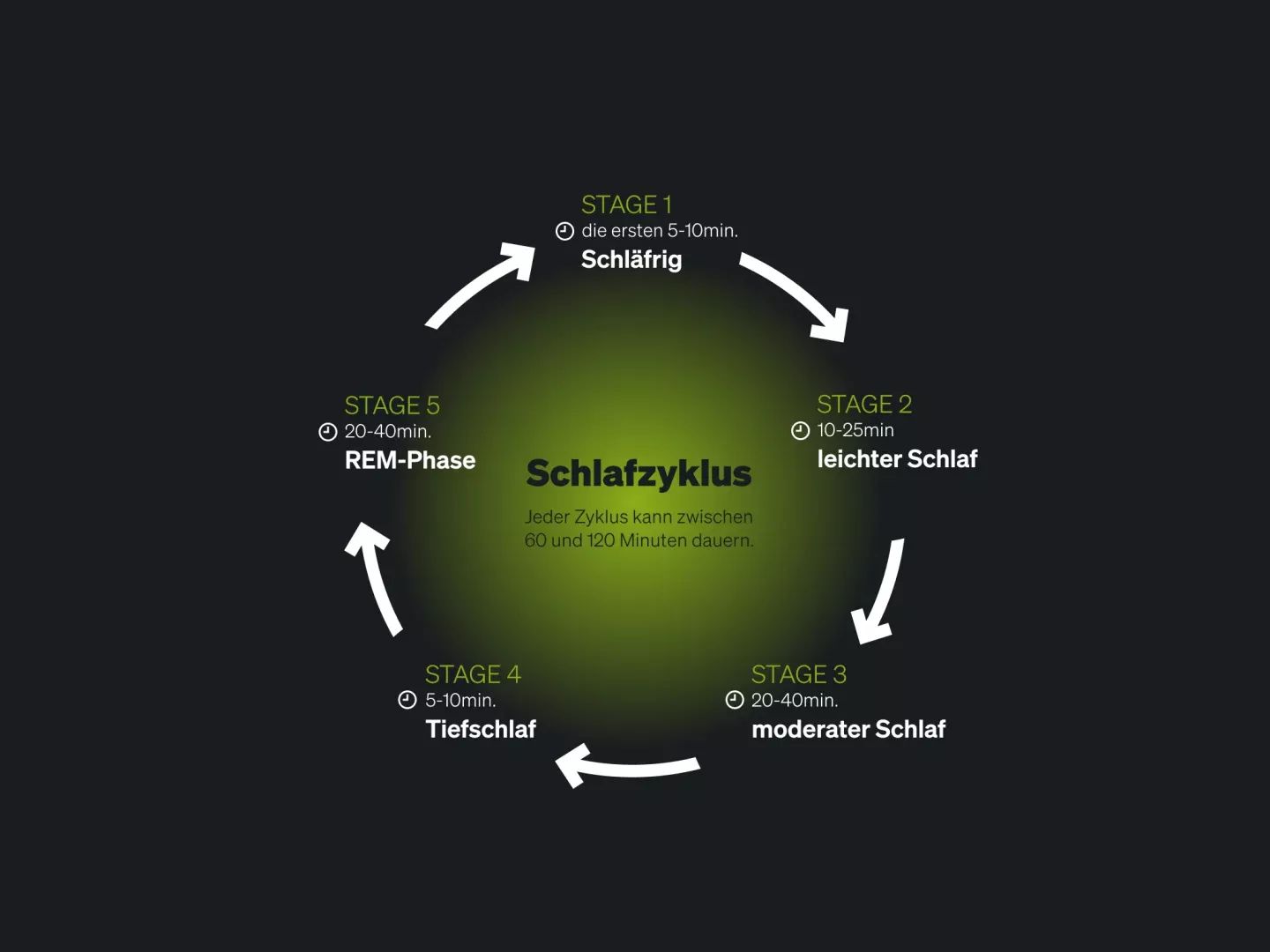 Schlafzyklus