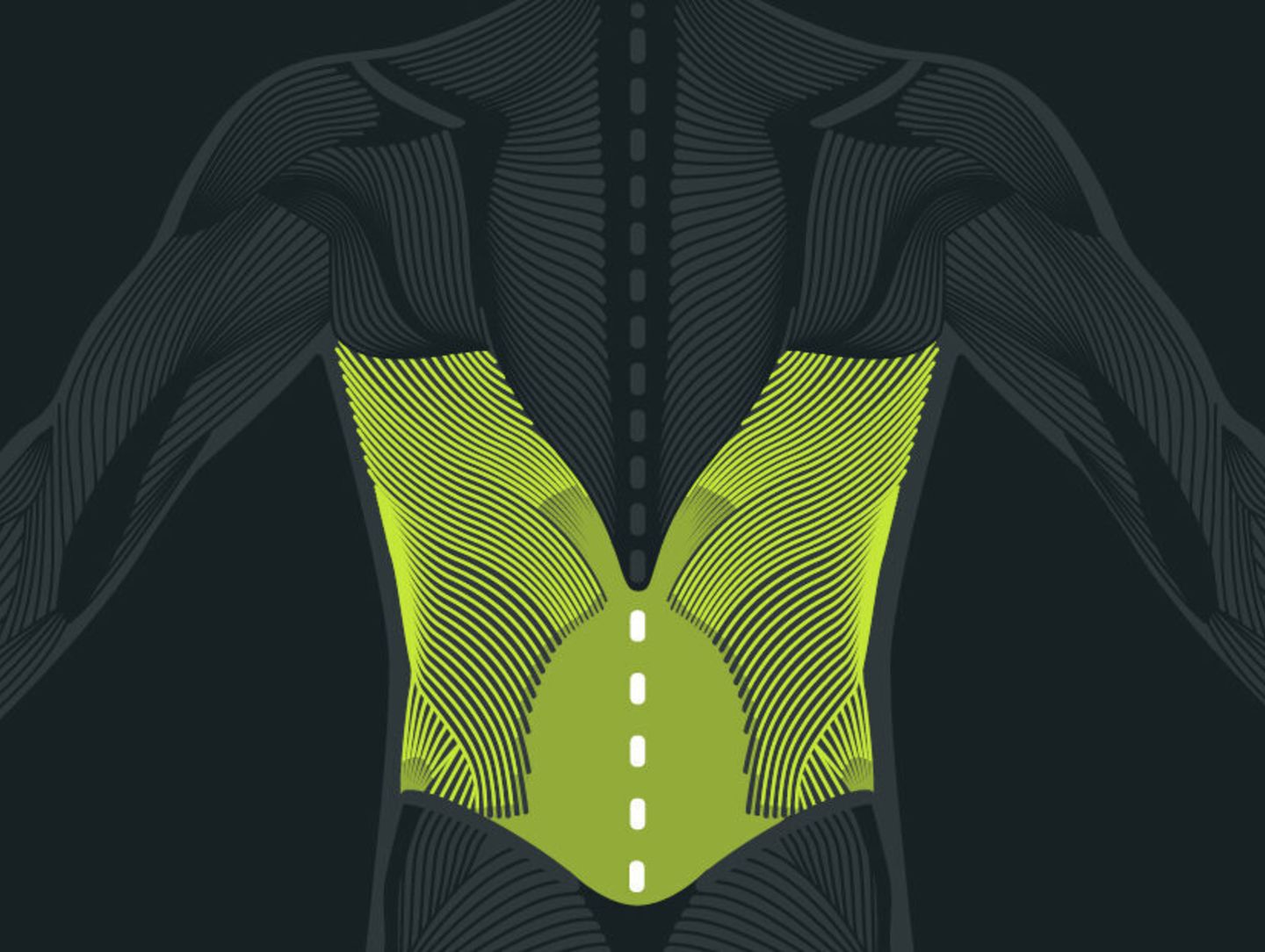 Was sind rueckenschmerzen blackroll