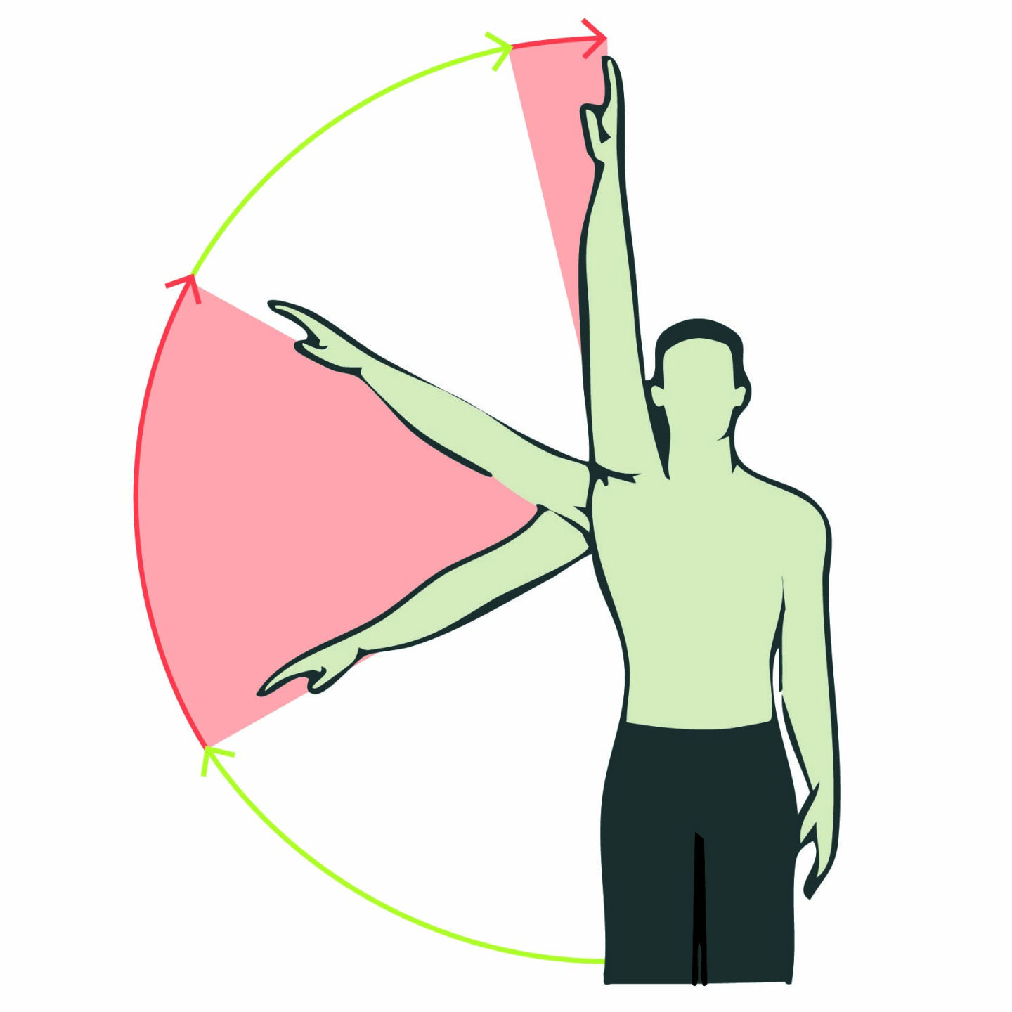 Schulterblatt Range of Motion