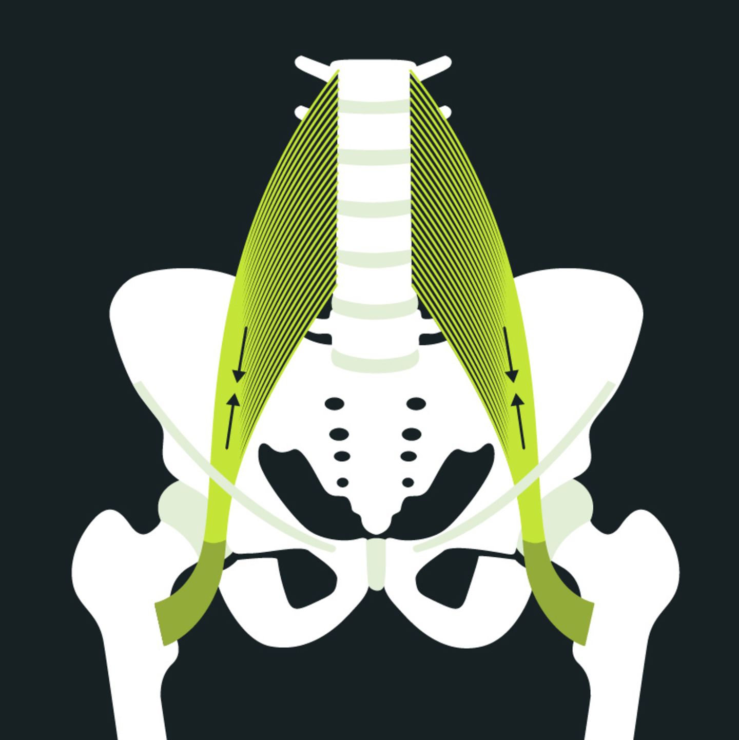 Was ist ein hexenschuss blackroll