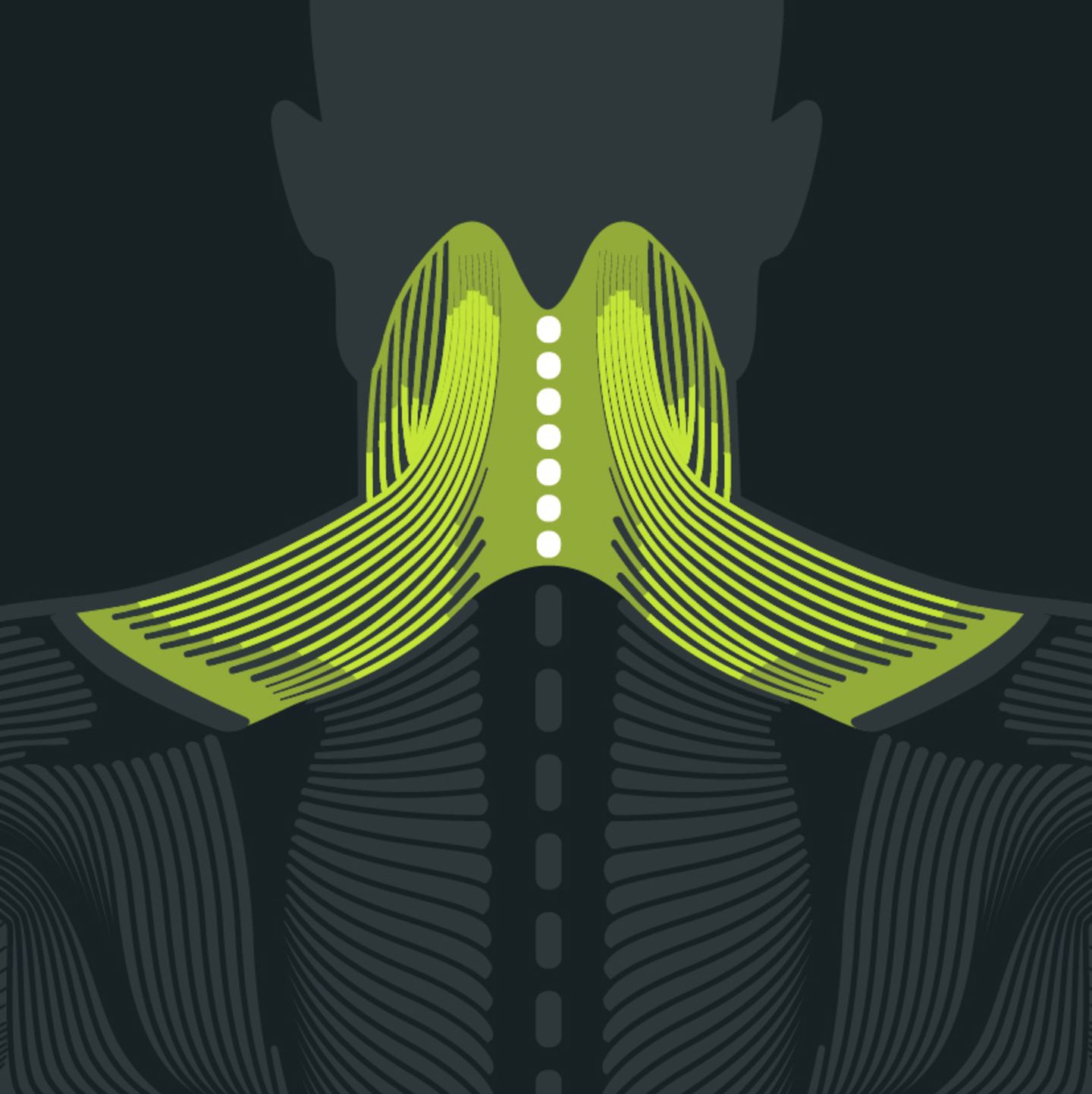 Was sind nackenschmerzen blackroll