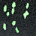 Black/Green