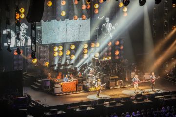 The Analogues
