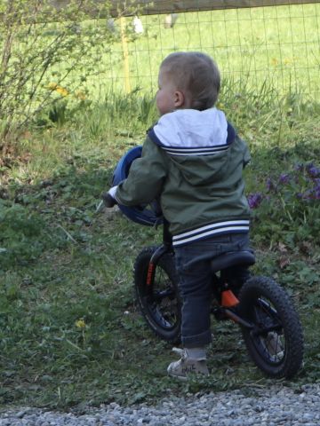 Blackroll teamday earth day rad