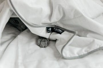 Blackroll Sommerbettdecke Schlaf