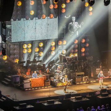 The Analogues