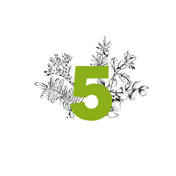 RECOVERY BALM mit ätherischen Ölen