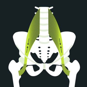 Was ist ein hexenschuss blackroll