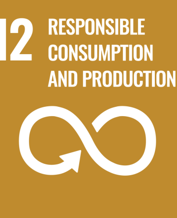 SDG_12_ResponsibleConsumptionAndProduction