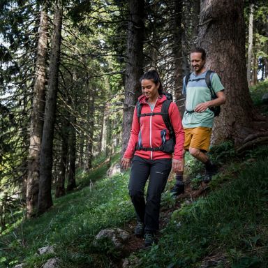 Exercise routines for walkers