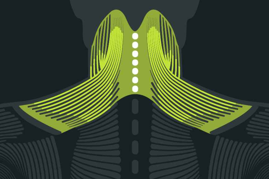 Anatomie Nacken bei Nackenschmerzen