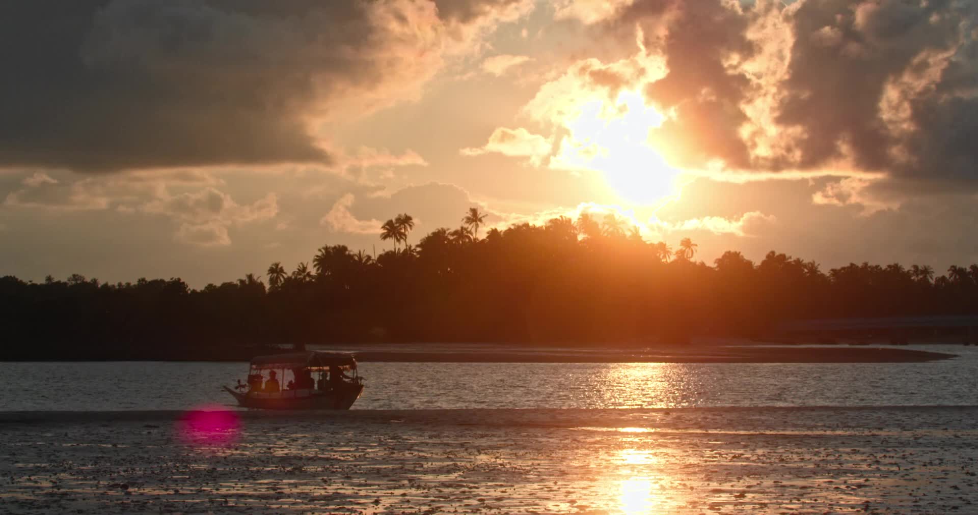 Values of Mangroves